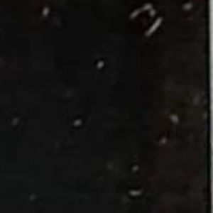 Meet your Posher, Yazmin